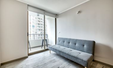 Vicuña Urban [1322-1]
