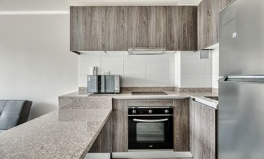 Vicuña Urban [1322-1]