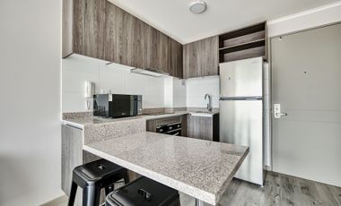 Vicuña Urban [1322-1]
