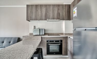 Vicuña Urban [1322-1]