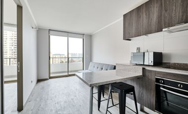 Vicuña Urban [1322-1]