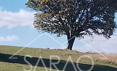 CASA EN PARCELA DE 5000 MTS 2 EN FRESIA