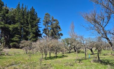 Parcela en Venta en Concepción