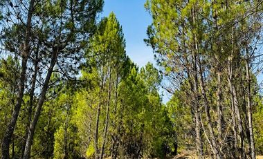 Parcela en Venta en Parral