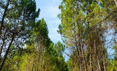 Parcela en Venta en Parral