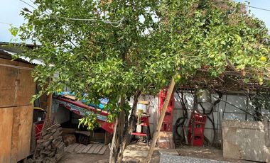 Gaan casa av Macul de gran potencial comercial.