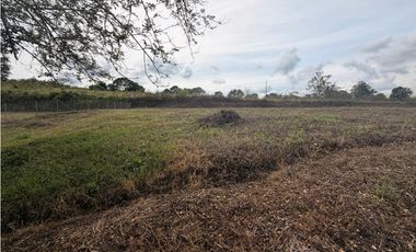 Lote en cerritos, 2000 metros cuadrados