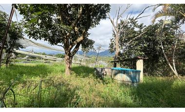 SE VENDE FINCA EN FUSAGASUGA - CUNDINAMARCA