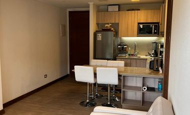EN VENTA DEPARTAMENTOS ALTOS DE LONCO