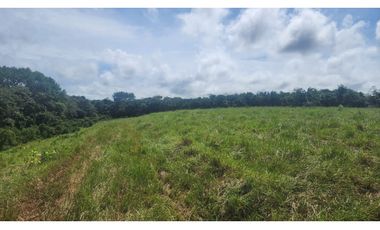 Venta de Terreno en Chorrera , Las Yayas Adentro, (7.5 hectáreas)