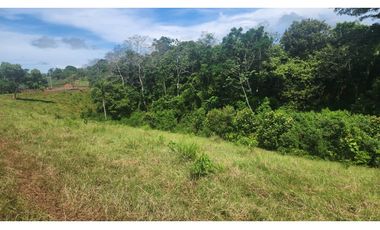 Venta de Terreno en Chorrera , Las Yayas Adentro, (7.5 hectáreas)