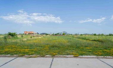 LOTE EN VENTA SAINT THOMAS CHICO CANNING