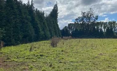 Casa en venta  en OSORNO