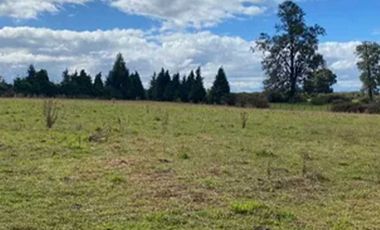 Casa en venta  en OSORNO
