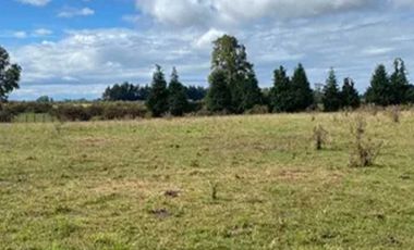 Casa en venta  en OSORNO