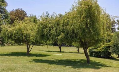 Parcela en venta  en REQUINOA