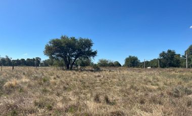 Venta de Terreno en Colonia Barón