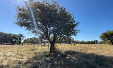Venta de Terreno en Colonia Barón