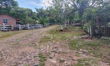 se vende 140 hectareas en Xalisco cerca de Boca de Chila