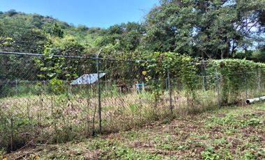 se vende 140 hectareas en Xalisco cerca de Boca de Chila