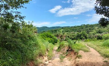 se vende 140 hectareas en Xalisco cerca de Boca de Chila