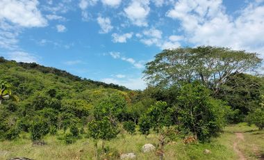 se vende 140 hectareas en Xalisco cerca de Boca de Chila