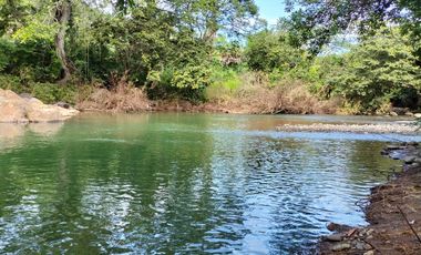 se vende 140 hectareas en Xalisco cerca de Boca de Chila