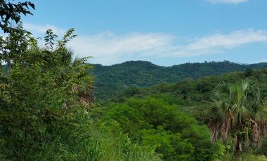se vende 140 hectareas en Xalisco cerca de Boca de Chila