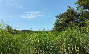 se vende 140 hectareas en Xalisco cerca de Boca de Chila
