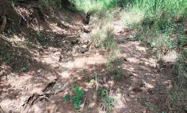 se vende 140 hectareas en Xalisco cerca de Boca de Chila