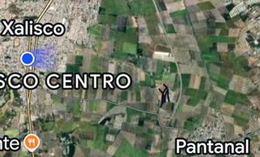 Terreno en venta en Xalisco 4 hectáreas