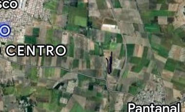 Terreno en venta en Xalisco 4 hectáreas