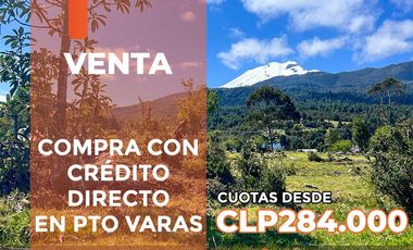 Parcela en venta  en PUERTO VARAS