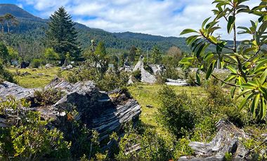 Parcela en venta  en PUERTO VARAS