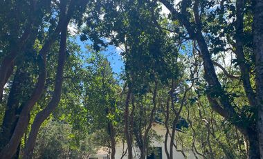 Casa en venta  en HUALQUI