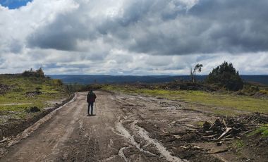 Gran terreno de 33 hectáreas en sector Pehuén,  Lebu