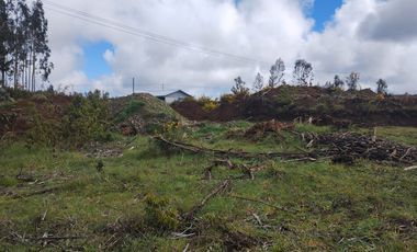 Gran terreno de 33 hectáreas en sector Pehuén,  Lebu