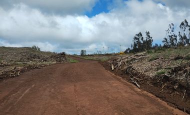 Gran terreno de 33 hectáreas en sector Pehuén,  Lebu