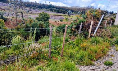 Gran terreno de 33 hectáreas en sector Pehuén,  Lebu