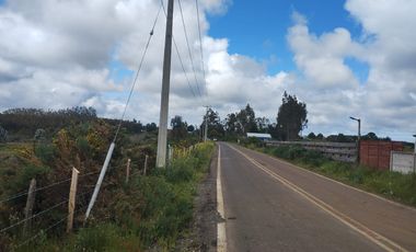 Gran terreno de 33 hectáreas en sector Pehuén,  Lebu