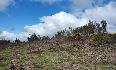 Gran terreno de 33 hectáreas en sector Pehuén,  Lebu