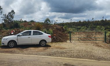 Gran terreno de 33 hectáreas en sector Pehuén,  Lebu
