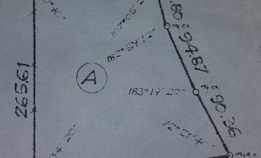 VENTA FRACCIÓN INDUSTRIAL SOBRE AUTOPISTA ROSARIO - BUENOS AIRES - APTO CRÉDITO!!!ndustrial