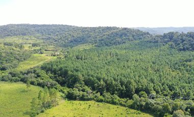 EN VENTA Chacra de 42 Hectáreas- Campo Grande