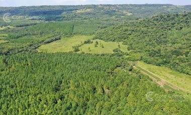 EN VENTA Chacra de 42 Hectáreas- Campo Grande