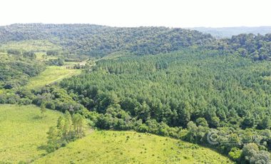 EN VENTA Chacra de 42 Hectáreas- Campo Grande