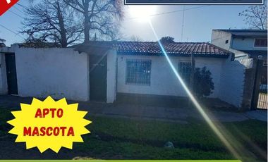 Alquiler Departamento en