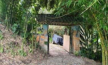 Venta De Finca En El Retiro Don Diego