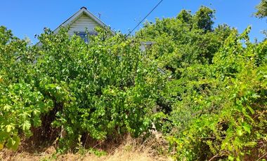 CALLE CIENFUEGOS
