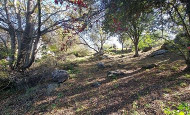 VENTA LOTE CUESTA BLANCA 1538 M2 VILLA CARLOS PAZ